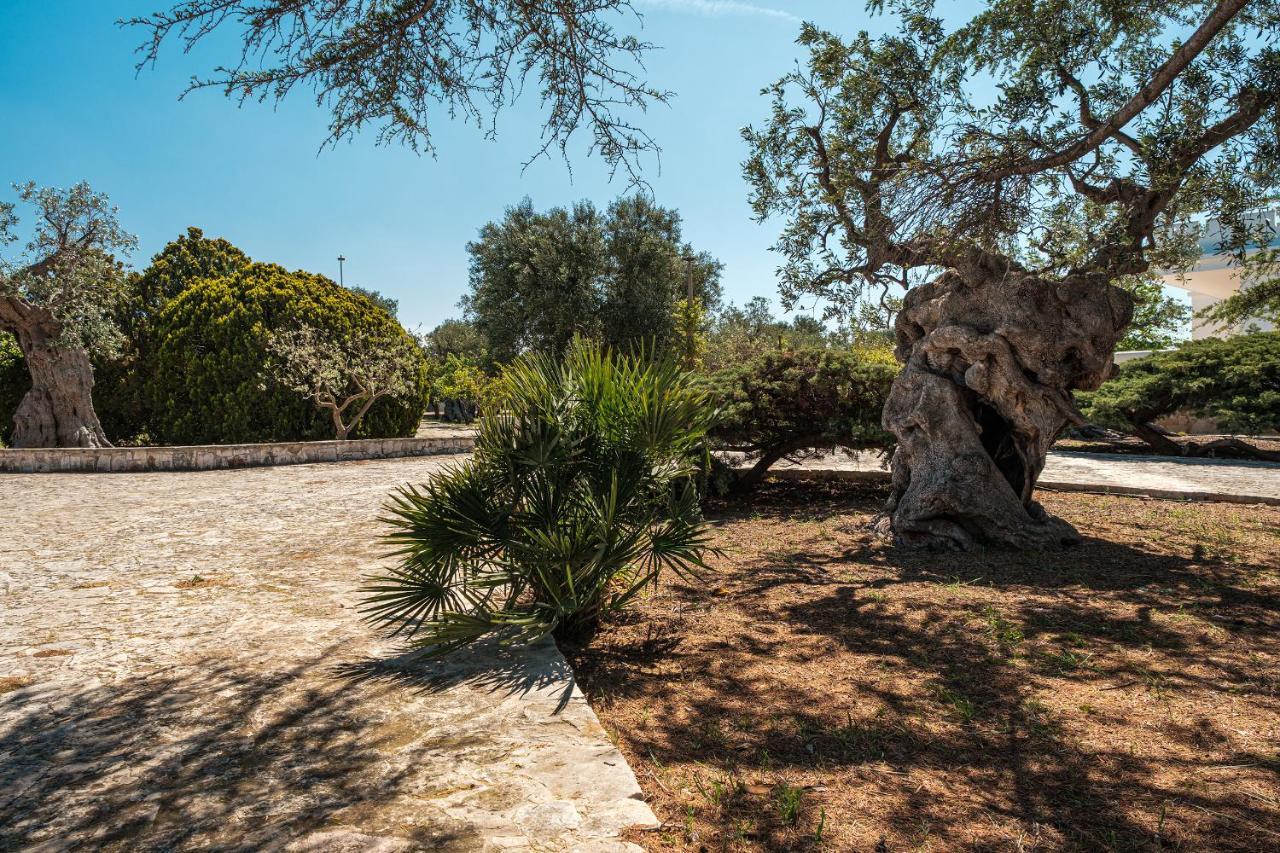 Villa Al Mare Sea, Relax & Wellness Monopoli Dış mekan fotoğraf