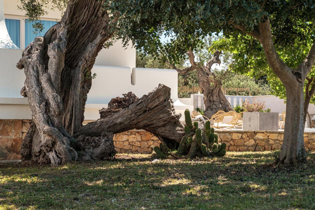 Villa Al Mare Sea, Relax & Wellness Monopoli Dış mekan fotoğraf